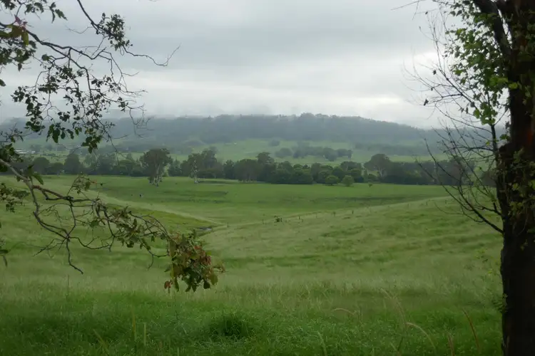 Third view of Homely rural property listing, 150 Collins Creek Rd, Kyogle NSW 2474