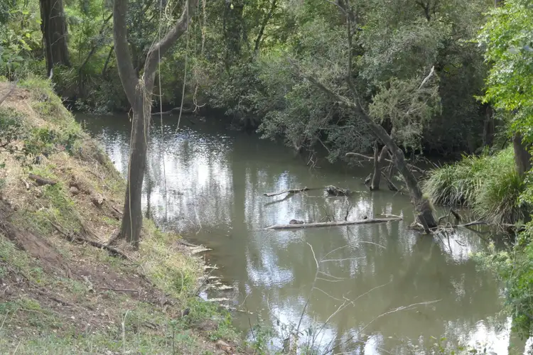 Fourth view of Homely rural property listing, 150 Collins Creek Rd, Kyogle NSW 2474