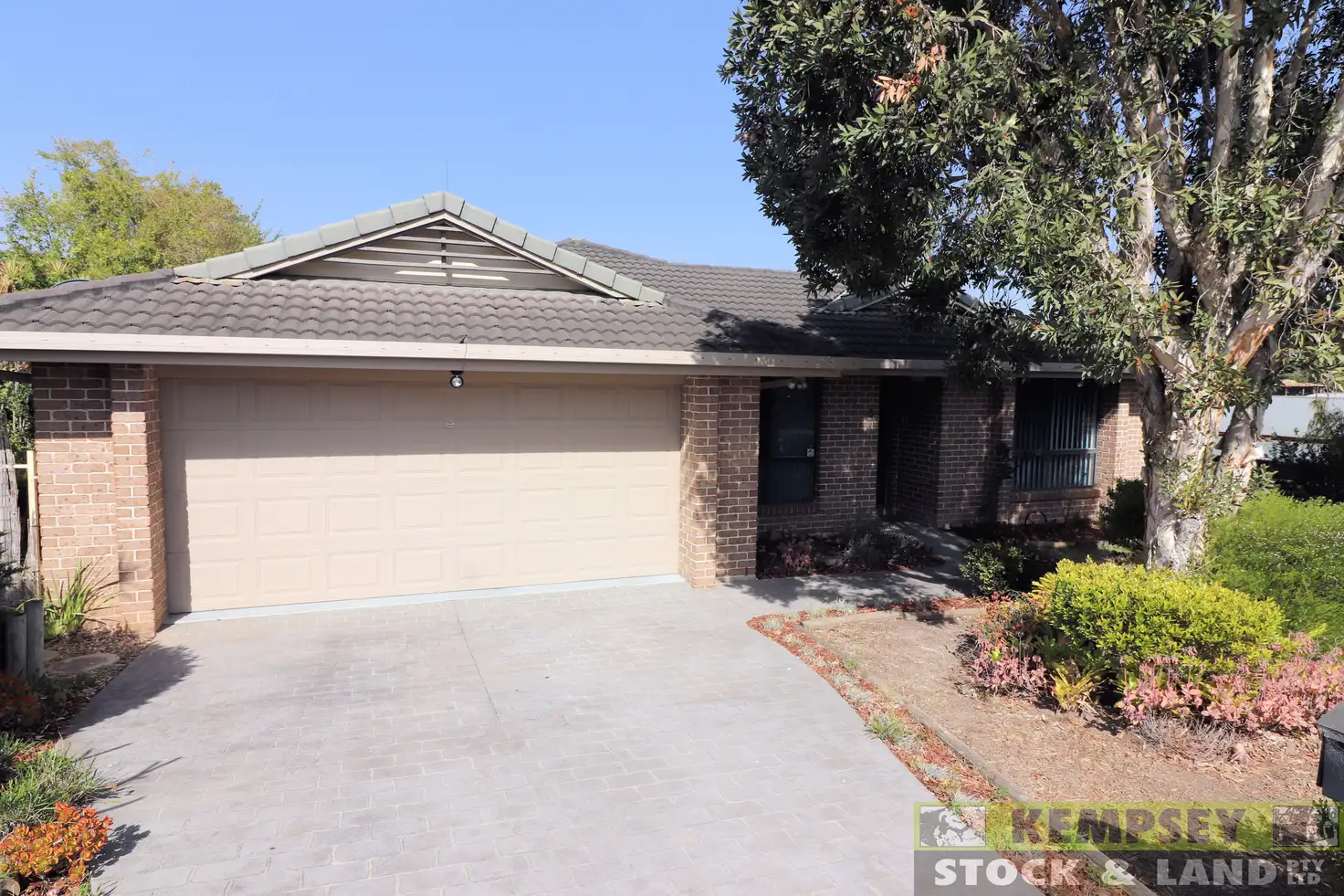 Main view of Homely house listing, 3 Cyrus Saul Cct, Frederickton NSW 2440