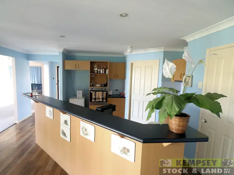 Fifth view of Homely house listing, 3 Cyrus Saul Cct, Frederickton NSW 2440