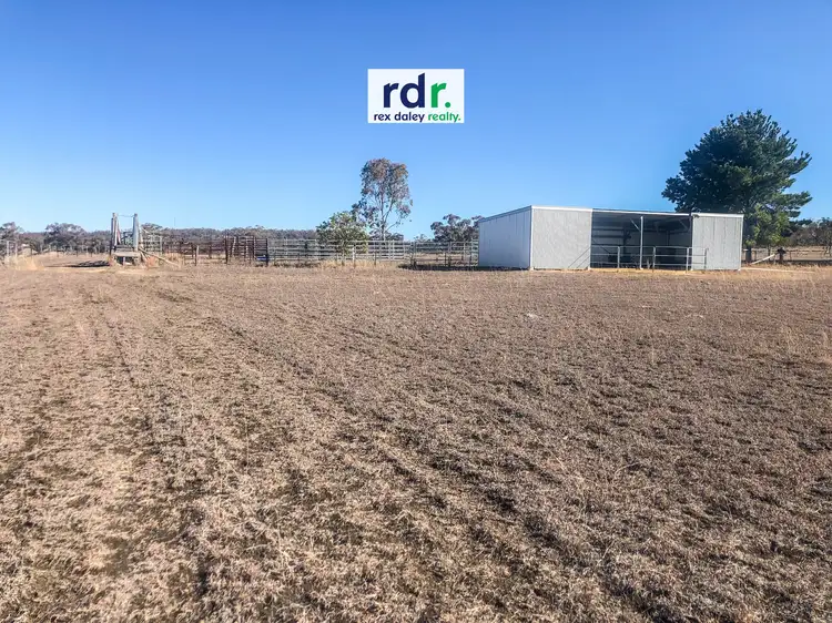 145 Dog Trap Lane, Inverell NSW 2360