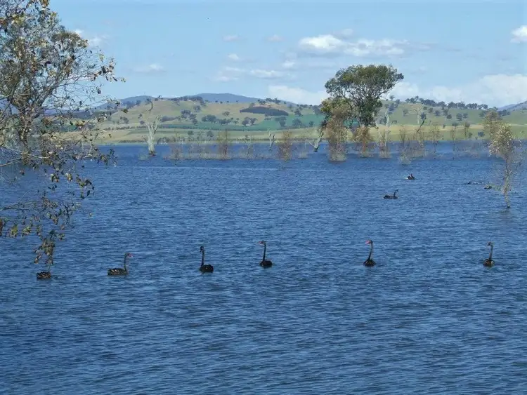 Main view of Homely rural property listing, 1158 Table Top Rd, Table Top NSW 2640