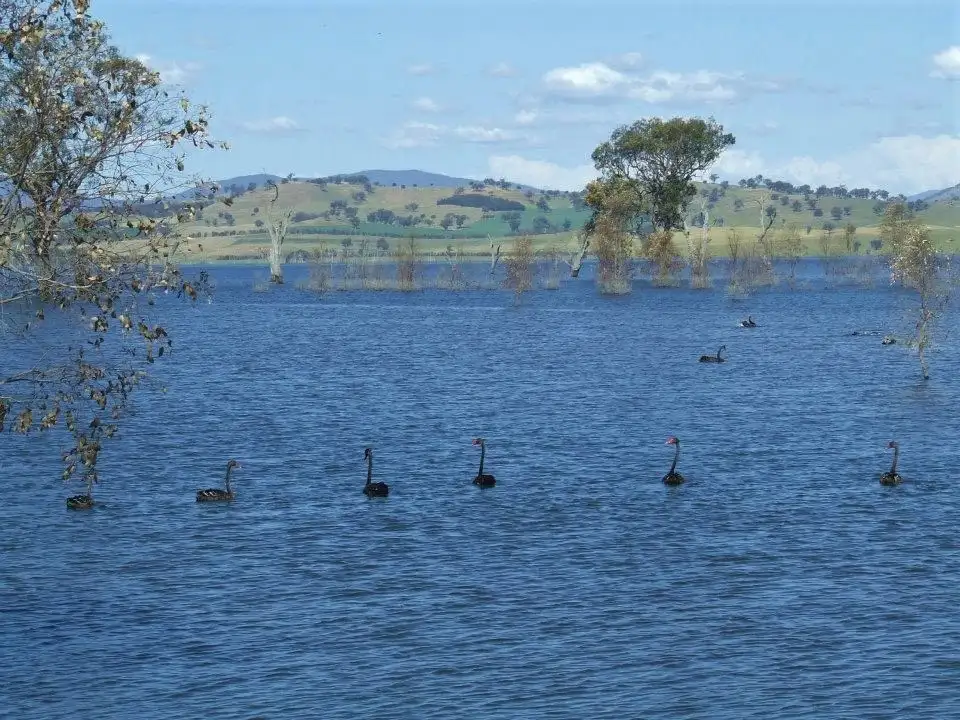 Main view of Homely rural property listing, 1158 Table Top Rd, Table Top NSW 2640