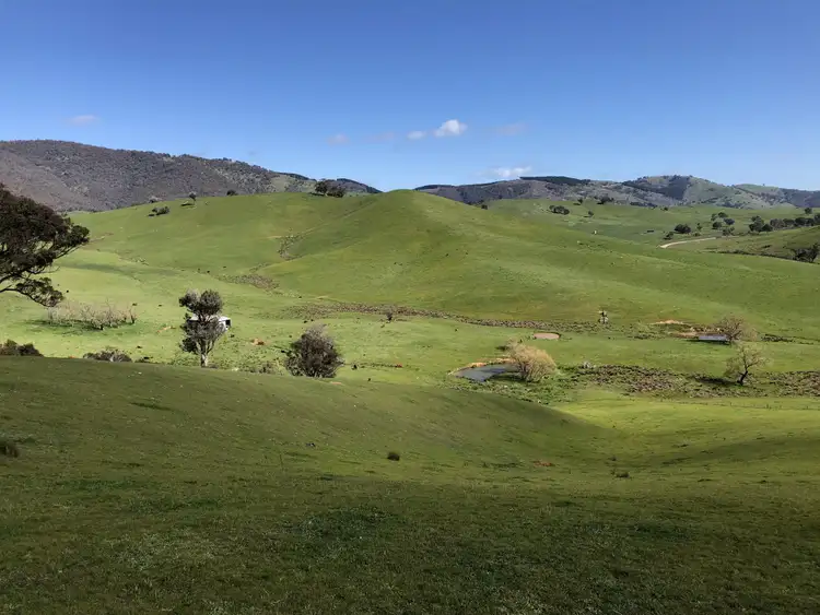 Main view of Homely rural property listing, . Spring Creek Road, Tallangatta Valley VIC 3701