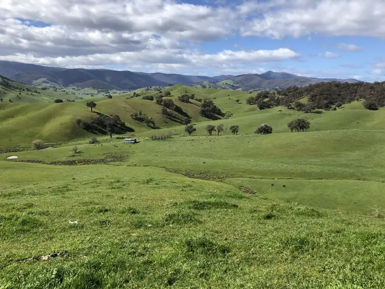 Fourth view of Homely rural property listing, . Spring Creek Road, Tallangatta Valley VIC 3701