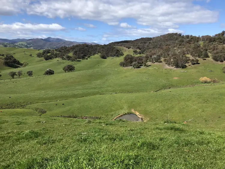Fifth view of Homely rural property listing, . Spring Creek Road, Tallangatta Valley VIC 3701