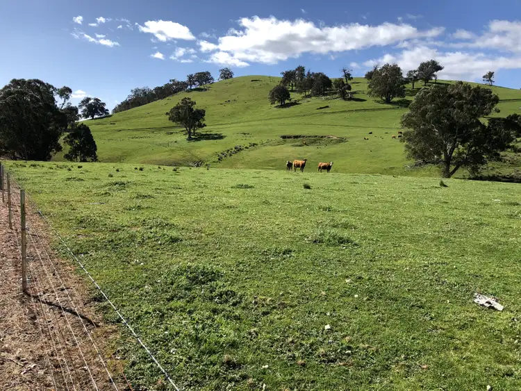 Seventh view of Homely rural property listing, . Spring Creek Road, Tallangatta Valley VIC 3701