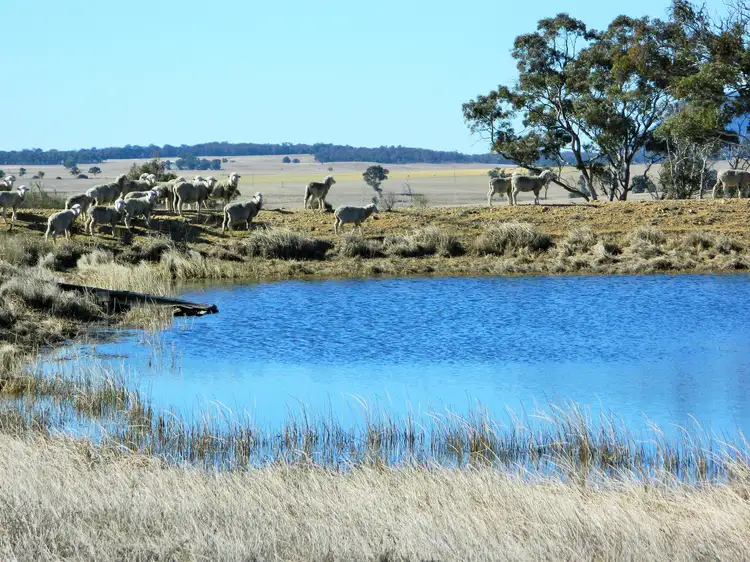 Main view of Homely rural property listing, 7749 Castlereagh Hwy, Aarons Pass NSW 2850