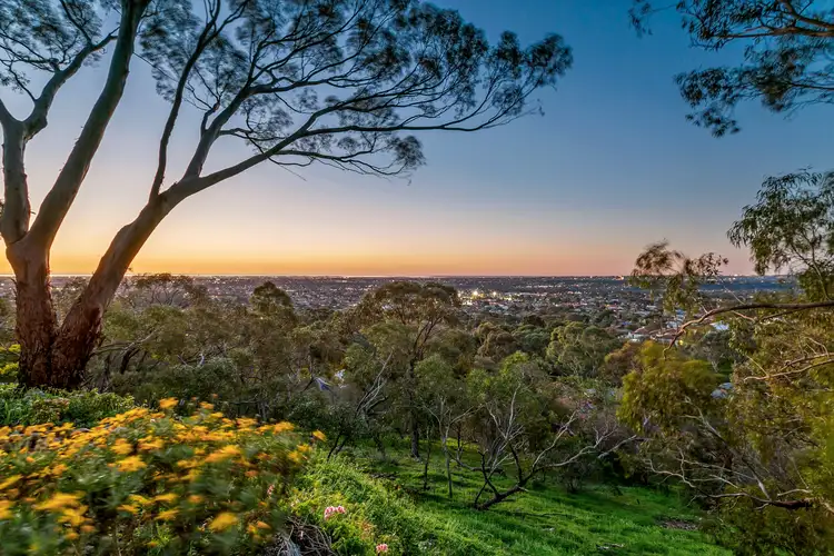 20 Tatiara Gr, Rostrevor SA 5073