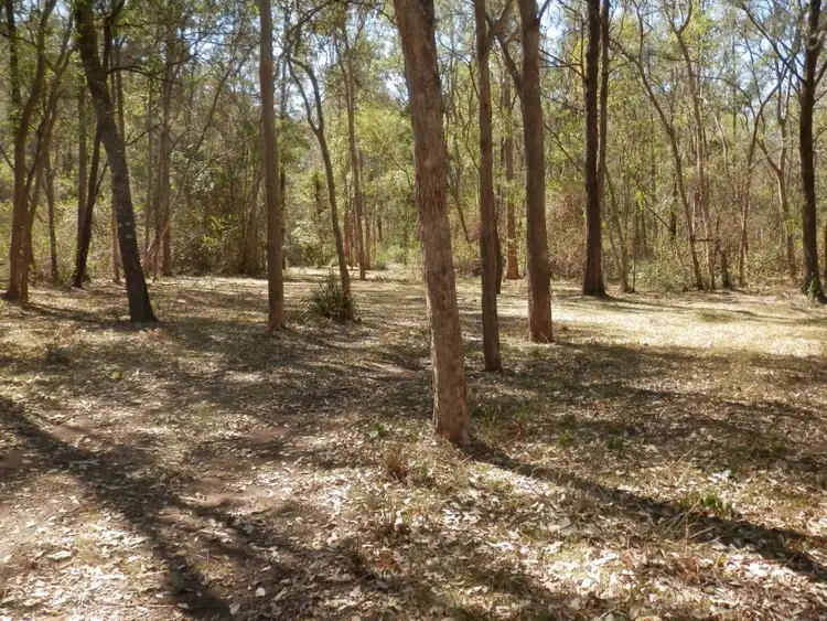 Second view of Homely rural property listing, 65 Bellbird Rd, Drake NSW 2469