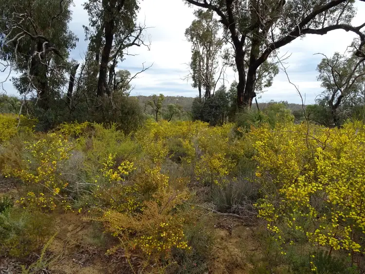 Fifth view of Homely land listing, 40 Adenanthus Rd, Toodyay WA 6566