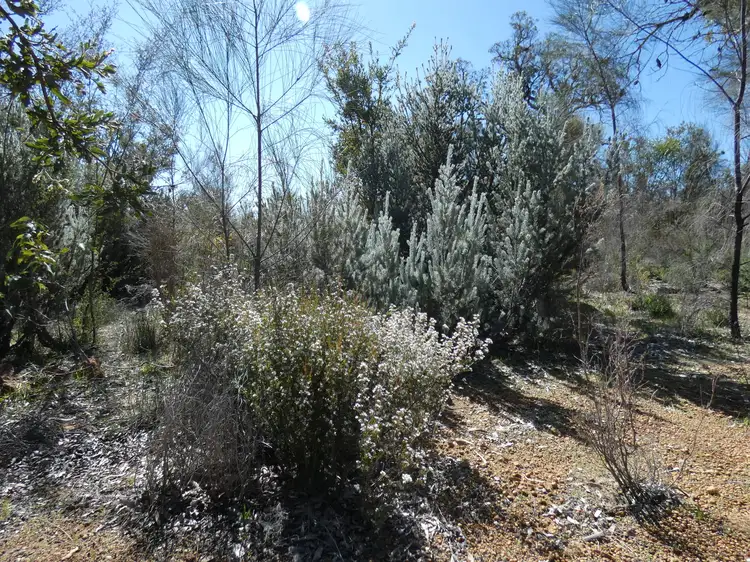 Seventh view of Homely land listing, 40 Adenanthus Rd, Toodyay WA 6566