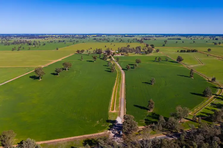 Main view of Homely rural property listing, 'Pine Grove'/1623 Redlands Road, Corowa NSW 2646
