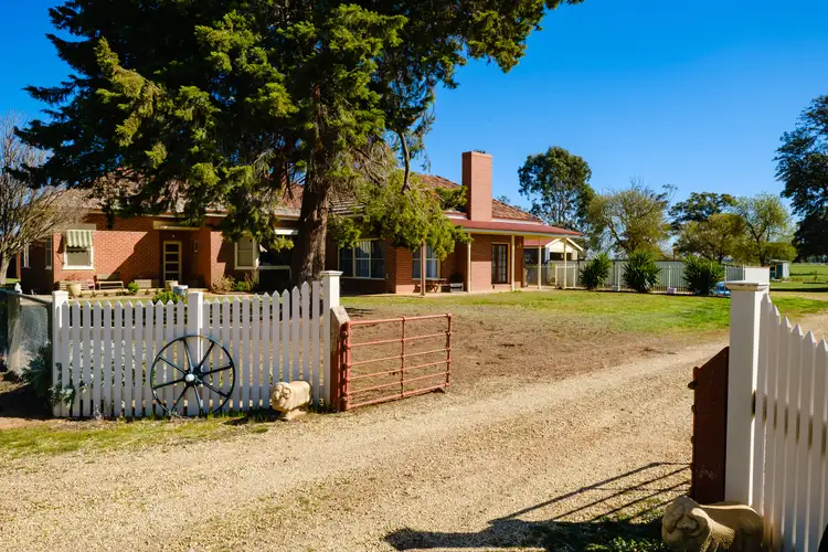 Fifth view of Homely rural property listing, 'Pine Grove'/1623 Redlands Road, Corowa NSW 2646