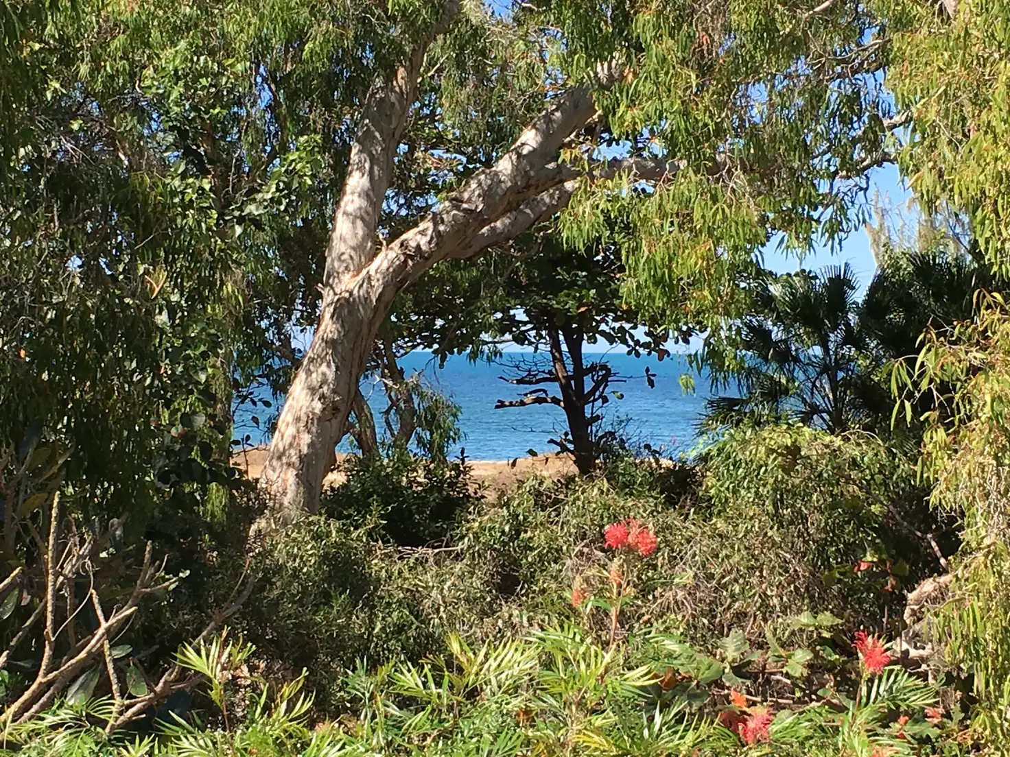 Main view of Homely house listing, 1 The Esplanade, Nelly Bay QLD 4819