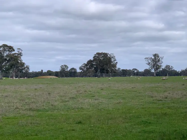 Main view of Homely rural property listing, 6300 Coleraine-edenhope Rd, Harrow VIC 3317