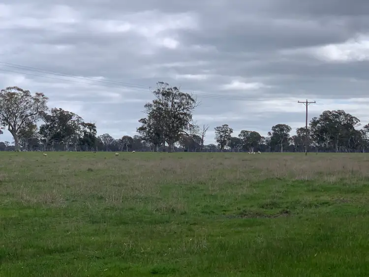 Second view of Homely rural property listing, 6300 Coleraine-edenhope Rd, Harrow VIC 3317