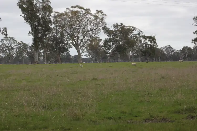 Third view of Homely rural property listing, 6300 Coleraine-edenhope Rd, Harrow VIC 3317