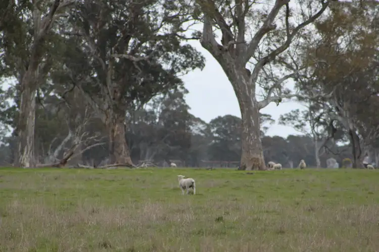 Fifth view of Homely rural property listing, 6300 Coleraine-edenhope Rd, Harrow VIC 3317