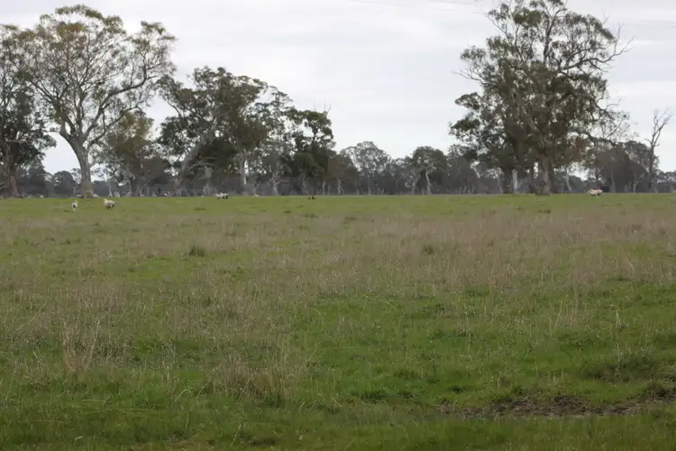 Sixth view of Homely rural property listing, 6300 Coleraine-edenhope Rd, Harrow VIC 3317