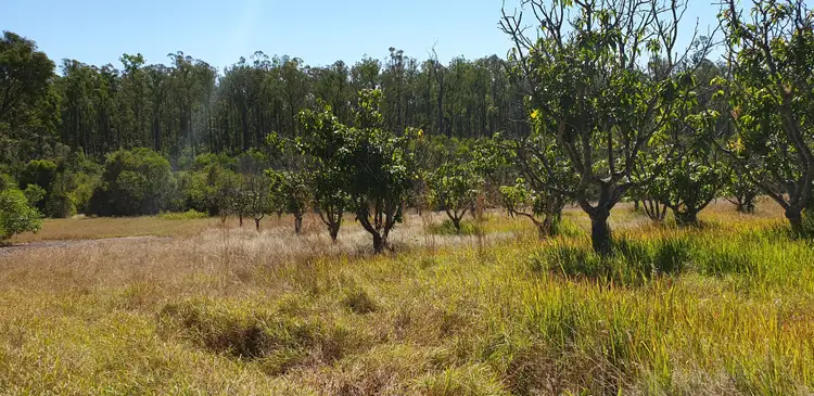 Seventh view of Homely rural property listing, 74 Jacobsens Rd, Yerra QLD 4650