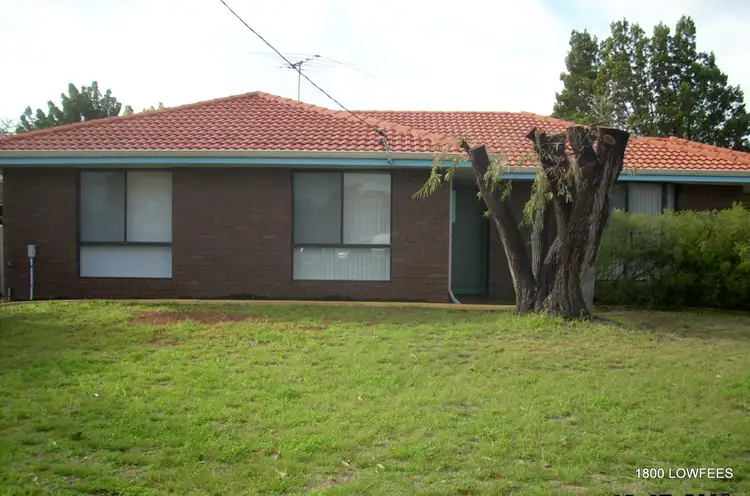 Main view of Homely house listing, 6 Argo Ct, Craigie WA 6025