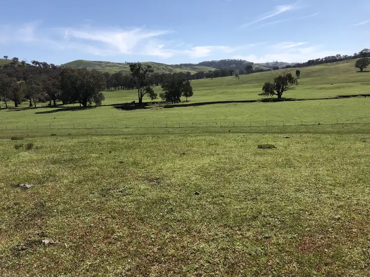 Second view of Homely rural property listing, 698 Little Billabong Rd, Little Billabong NSW 2644