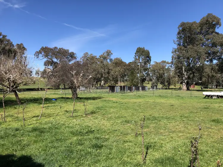 Seventh view of Homely rural property listing, 698 Little Billabong Rd, Little Billabong NSW 2644