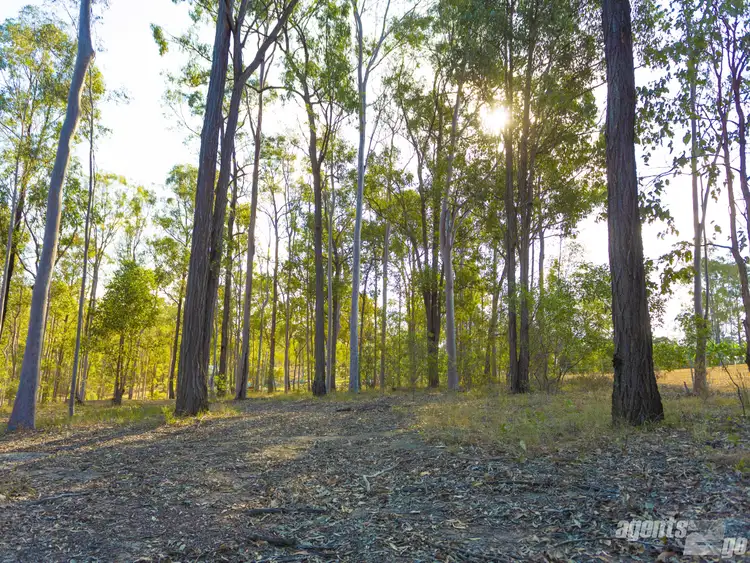 Third view of Homely land listing, 64 Cliff Jones Rd, Curra QLD 4570