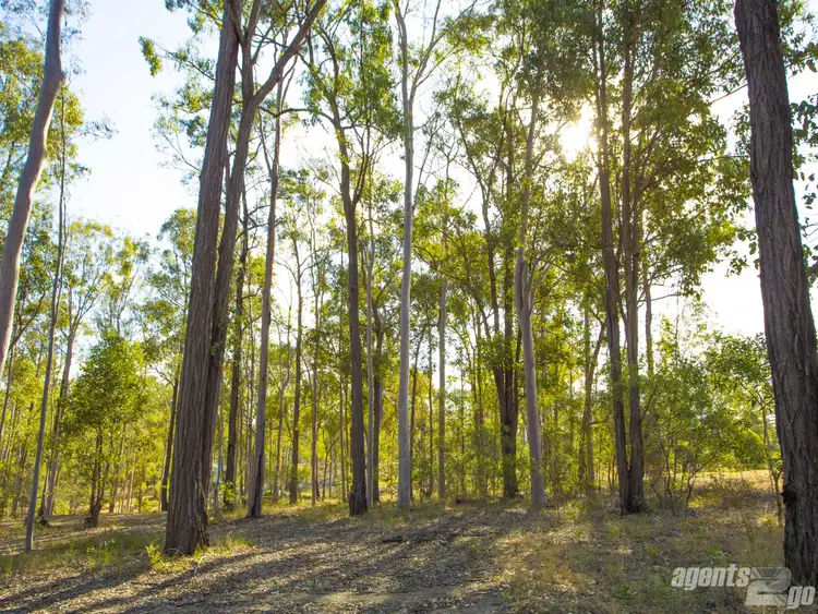 Fifth view of Homely land listing, 64 Cliff Jones Rd, Curra QLD 4570