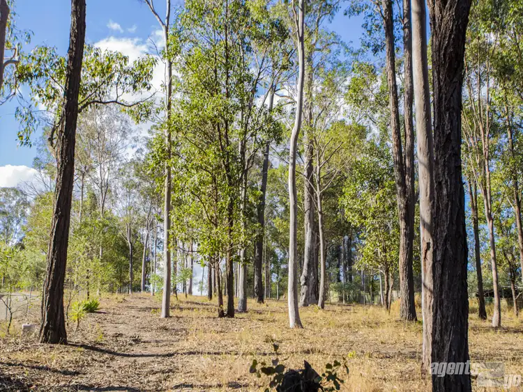 Sixth view of Homely land listing, 64 Cliff Jones Rd, Curra QLD 4570