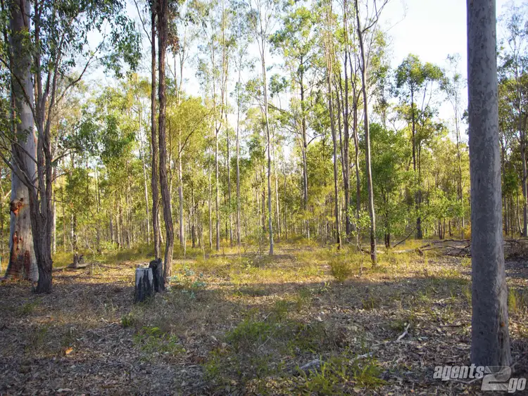 Seventh view of Homely land listing, 64 Cliff Jones Rd, Curra QLD 4570