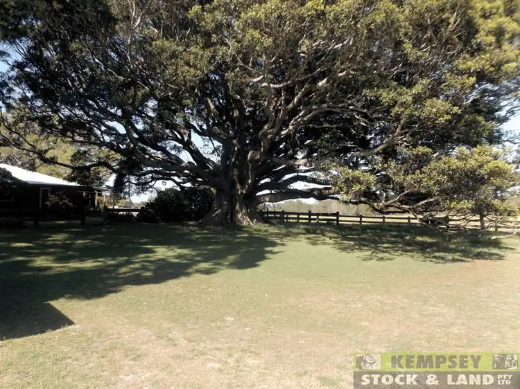 Second view of Homely rural property listing, 109 Goulds Lane, Clybucca NSW 2440