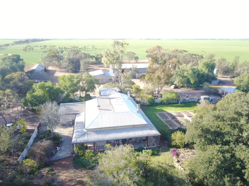 Main view of Homely house listing, 684 Sturt Pea Rd, Brinkworth SA 5464