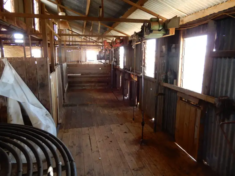 Second view of Homely rural property listing, 135 Steggles Rd, Terowie SA 5421