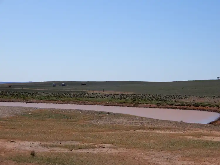 Sixth view of Homely rural property listing, 135 Steggles Rd, Terowie SA 5421