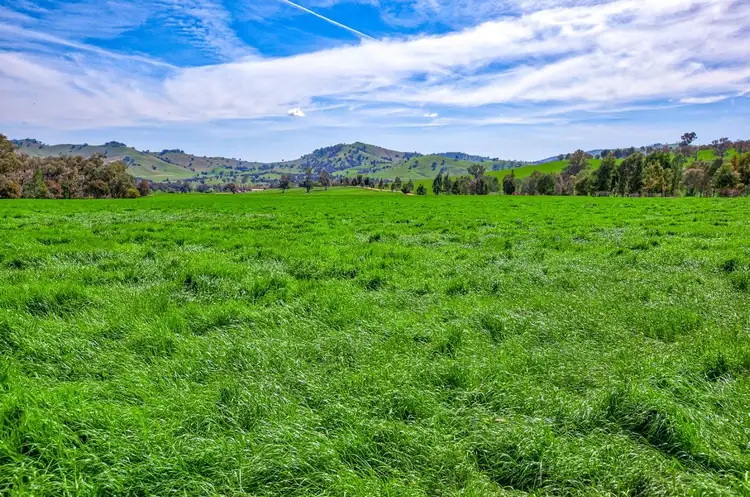 "Wirrianda"  944 Wymah Rd, Bowna NSW 2644