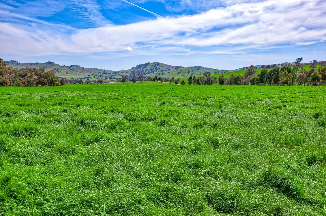 Main view of Homely rural property listing, "Wirrianda" 944 Wymah Rd, Bowna NSW 2644