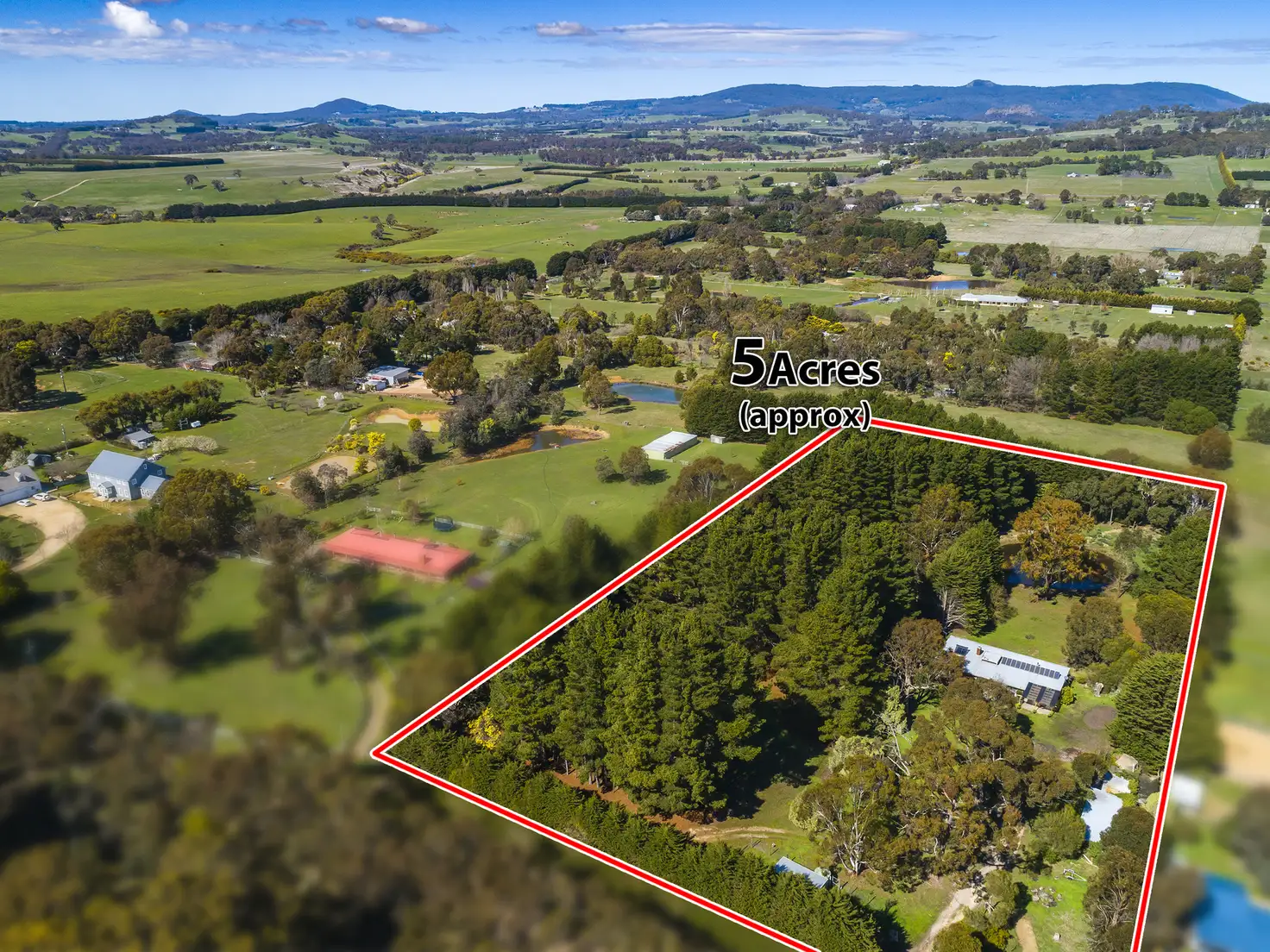 Main view of Homely rural property listing, 66 Forest Rd, Newham VIC 3442