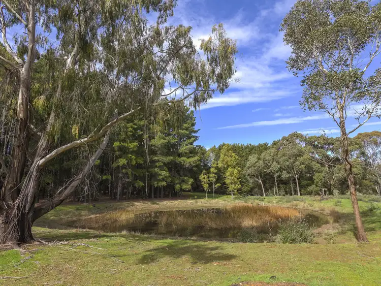 Fourth view of Homely rural property listing, 66 Forest Rd, Newham VIC 3442