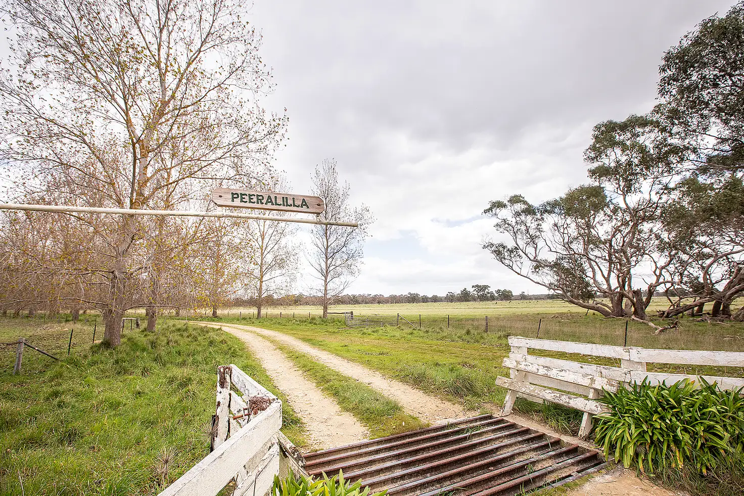 Main view of Homely rural property listing, 805 Cluain Lane, Lucindale SA 5272