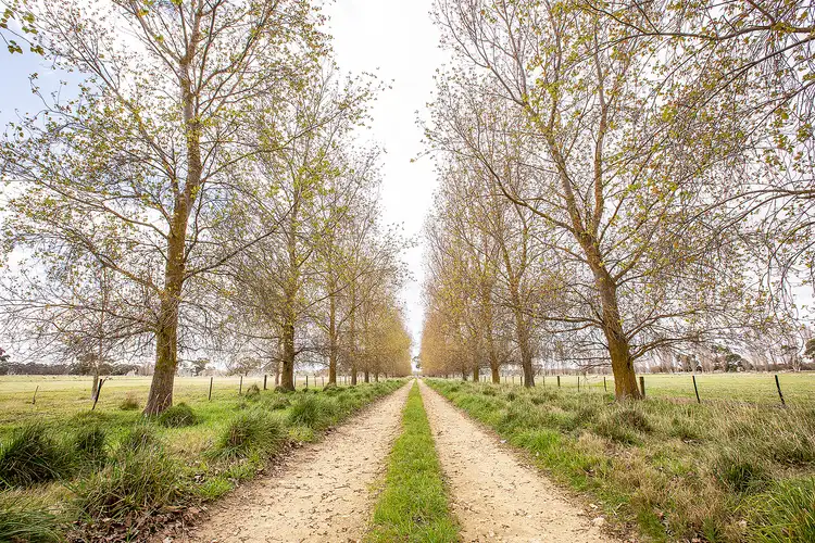 Second view of Homely rural property listing, 805 Cluain Lane, Lucindale SA 5272