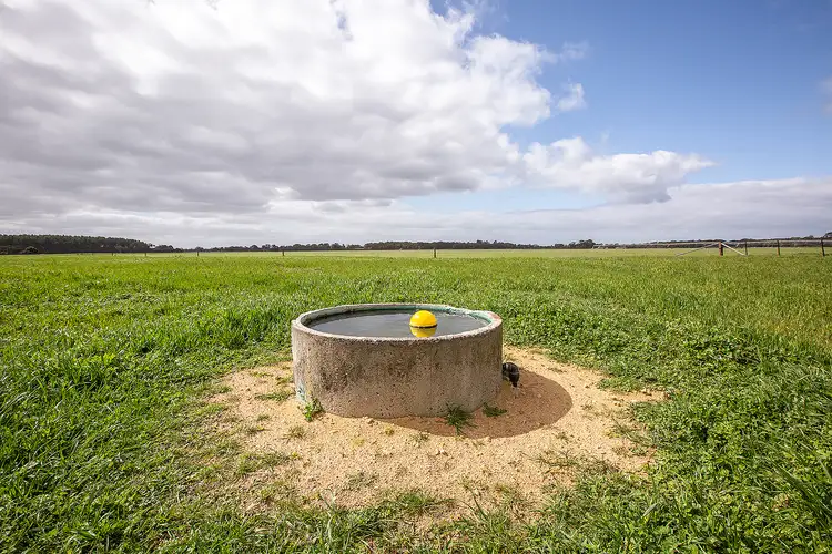 Fourth view of Homely rural property listing, 805 Cluain Lane, Lucindale SA 5272