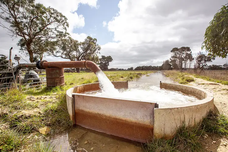 Fifth view of Homely rural property listing, 805 Cluain Lane, Lucindale SA 5272