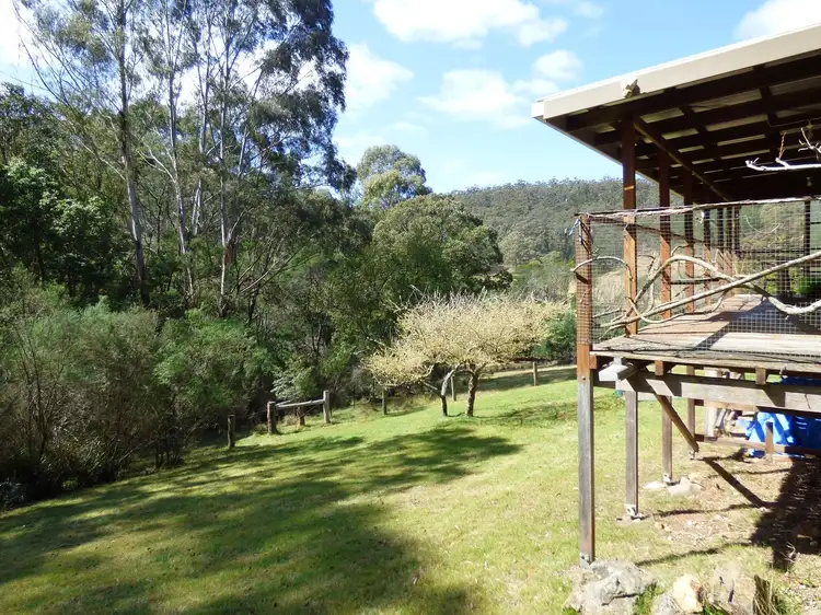 Fifth view of Homely rural property listing, 1891 Towamba Rd, Towamba NSW 2550
