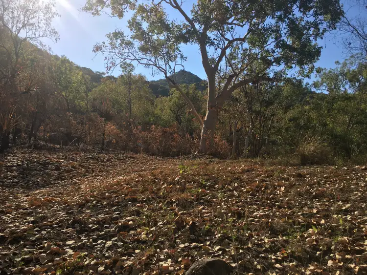 Third view of Homely land listing, 33 Lilac St, Nelly Bay QLD 4819