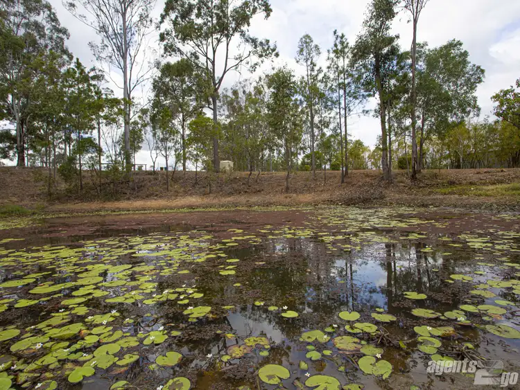 Fifth view of Homely house listing, 520 Beckmanns Rd, Glenwood QLD 4570