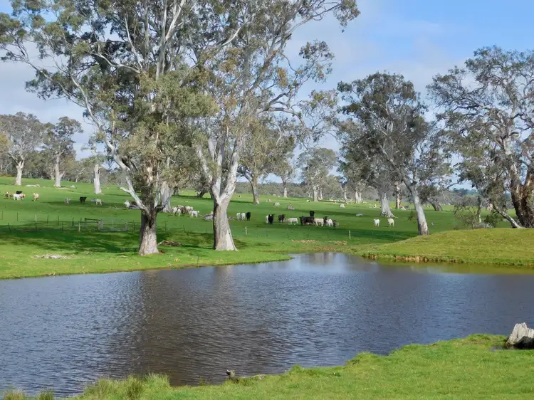 144 Humphries Rd, Sandford VIC 3312