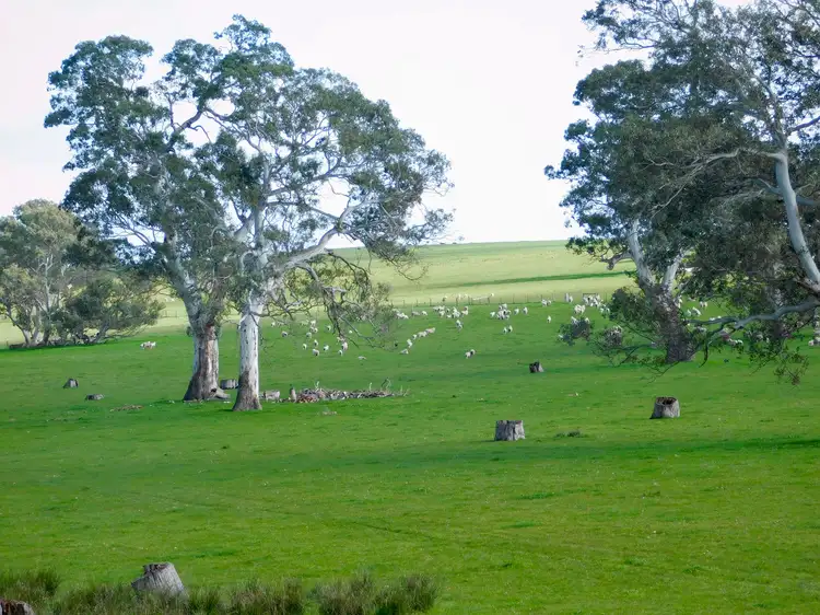 Third view of Homely rural property listing, 144 Humphries Rd, Sandford VIC 3312