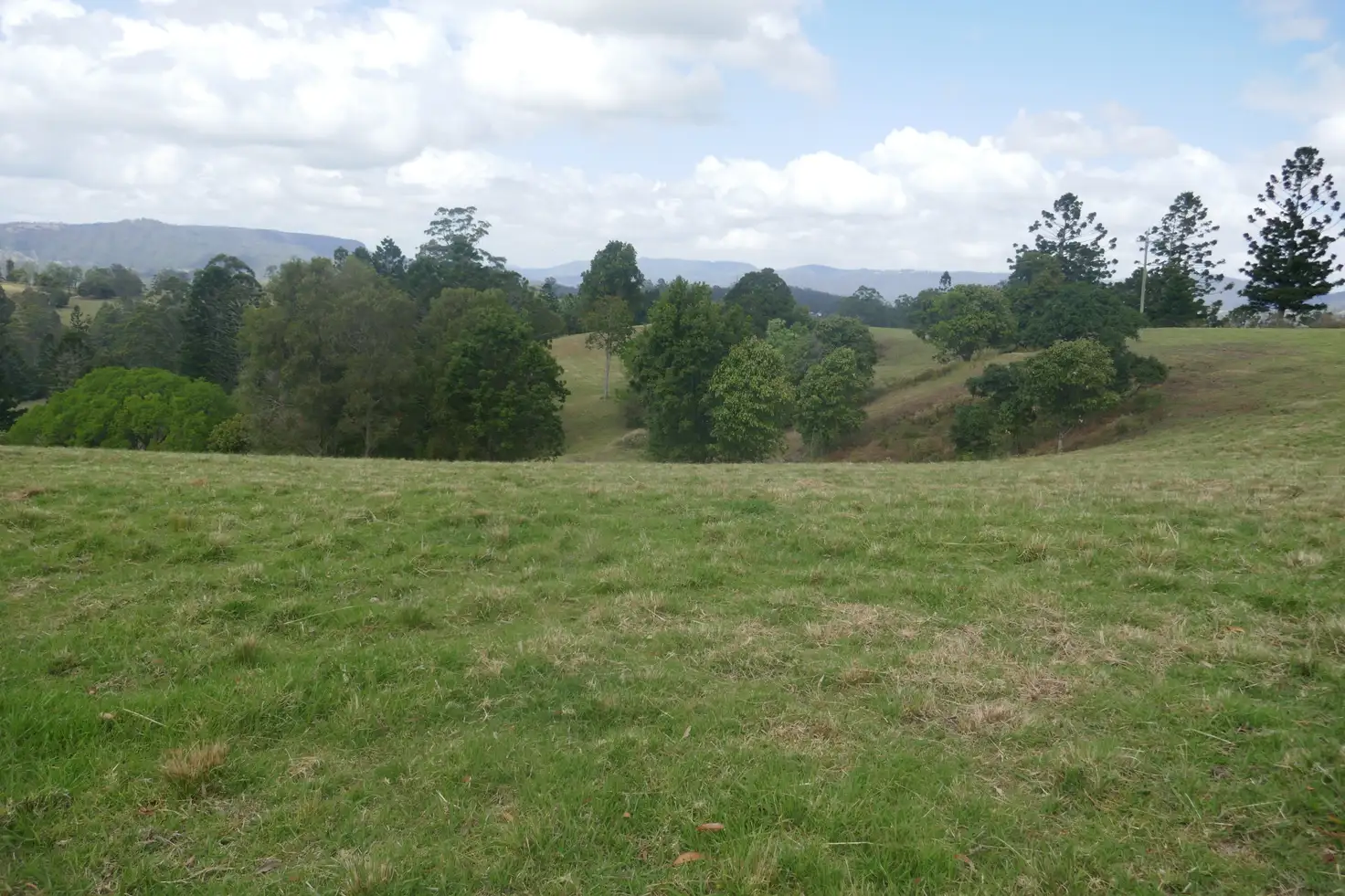 Main view of Homely rural property listing, Lot 27 Old Tweed Road, Wadeville NSW 2474